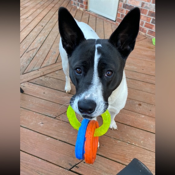 ❤️LIVE NOW❤️ - Picture 4 of 15